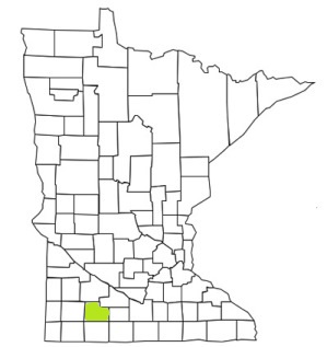 minnesota fire, minnesota firefighters, mn firefighters, mn fire, minnesota fire department, cottonwood county, minnesota firefighters, mn firefighters, cottonwood county ems, cottonwood county fire apparatus, cottonwood county fire departments