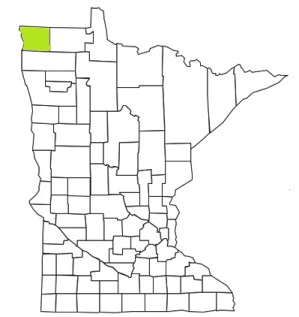 minnesota fire, minnesota firefighters, mn firefighters, mn fire, minnesota fire department, kittson county, minnesota firefighters, mn firefighters, kittson county ems, kittson county fire apparatus, kittson county fire departments