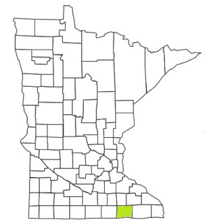 minnesota fire, minnesota firefighters, mn firefighters, mn fire, minnesota fire department, mower county, minnesota firefighters, mn firefighters, mower county ems, mower county fire apparatus, mower county fire departments