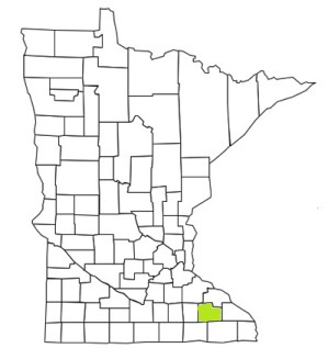 minnesota fire, minnesota firefighters, mn firefighters, mn fire, minnesota fire department, olmsted county, minnesota firefighters, mn firefighters, olmsted county ems, olmsted county fire apparatus, olmsted county fire departments