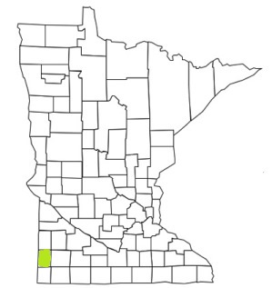 minnesota fire, minnesota firefighters, mn firefighters, mn fire, minnesota fire department, pipestone county, minnesota firefighters, mn firefighters, pipestone county ems, pipestone county fire apparatus, pipestone county fire departments