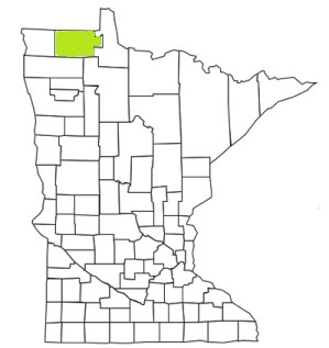 minnesota fire, minnesota firefighters, mn firefighters, mn fire, minnesota fire department, roseau county, minnesota firefighters, mn firefighters, roseau county ems, roseau county fire apparatus, roseau county fire departments