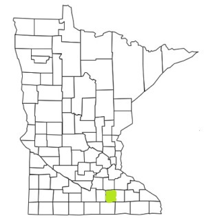 minnesota fire, minnesota firefighters, mn firefighters, mn fire, minnesota fire department, steele county, minnesota firefighters, mn firefighters, steele county ems, steele county fire apparatus, steele county fire departments