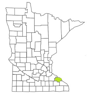 minnesota fire, minnesota firefighters, mn firefighters, mn fire, minnesota fire department, wabasha county, minnesota firefighters, mn firefighters, wabasha county ems, wabasha county fire apparatus, wabasha county fire departments