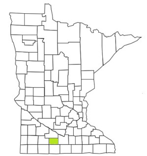 minnesota fire, minnesota firefighters, mn firefighters, mn fire, minnesota fire department, watonwan county, minnesota firefighters, mn firefighters, watonwan county ems, watonwan county fire apparatus, watonwan county fire departments