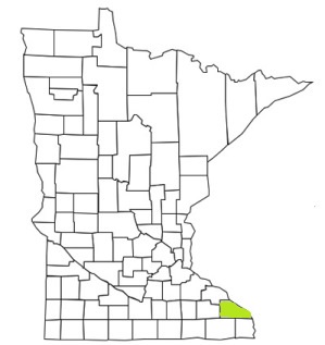 minnesota fire, minnesota firefighters, mn firefighters, mn fire, minnesota fire department, winona county, minnesota firefighters, mn firefighters, winona county ems, winona county fire apparatus, winona county fire departments